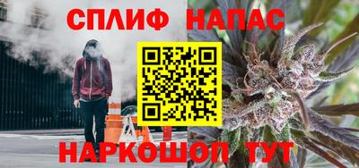 сатива Бузулук