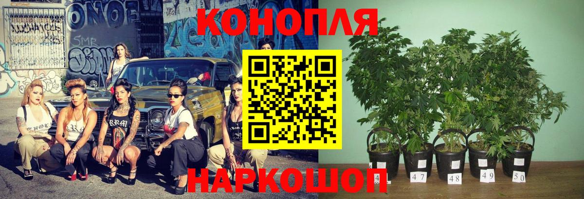 Нальчик  Каннабис планчик  Конопля Amnesia  Бошки марихуана индика  Марихуана White Widow  Вход с VPN 